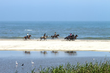 Namibia-Namibia-Great Namibian Desert Trail